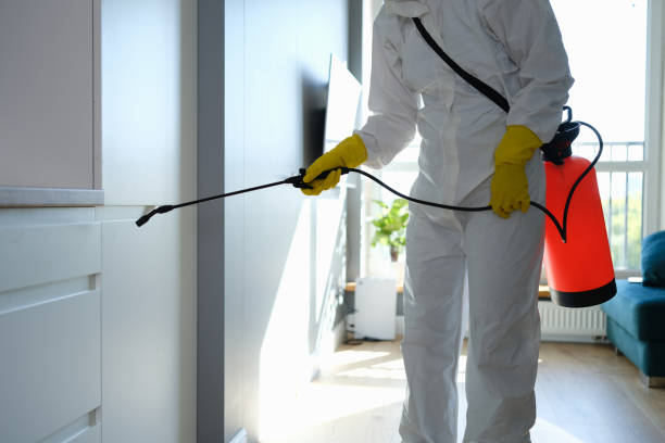 Professional Mold Removal in Waterloo, IN